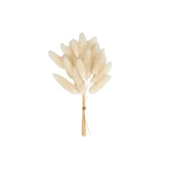 CASA Jarras^ADDO Jarra Creme