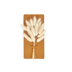 CASA Jarras^ADDO Jarra Creme