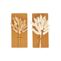 CASA Jarras^ADDO Jarra Creme