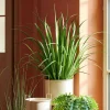 CASA Plantas Artificiais^ALLIUM Relva Decorativa Verde