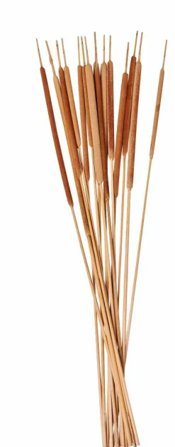 CASA Cómodas^BAMBOO Cómoda 2 Gavetas Natural