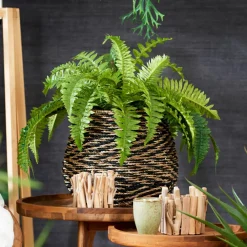 CASA Vasos Decorativos|Vasos^BAZAAR Vaso Natural