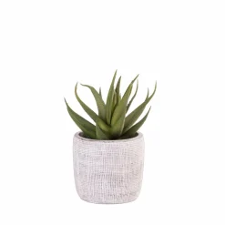 CASA Vasos Decorativos|Vasos^BAZAAR Vaso Natural