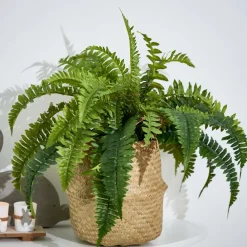 CASA Vasos Decorativos|Vasos^BAZAAR Vaso Natural