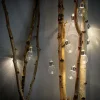 CASA Iluminações Para Exterior^BULB Grinalda Iluminada Solar 10 Leds Transparente