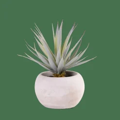 CASA Plantas Artificiais^CEMENT Crássula Artificial Em Pote Cinzento