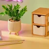 CASA Plantas Artificiais^CERA Planta Artificial Diversas Cores
