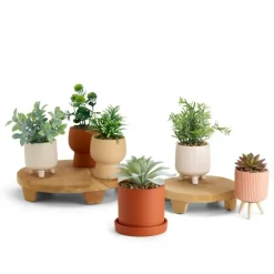CASA Plantas Artificiais^CERA Planta Artificial Diversas Cores