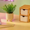CASA Plantas Artificiais^CERA Planta Artificial Diversas Cores