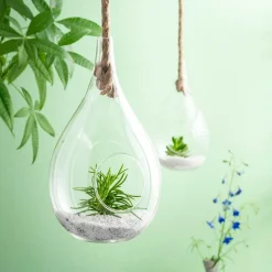 CASA Vasos Para Pendurar^DROP Gota De Vidro Transparente