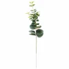 CASA Ramos Artificiais^EUCALYPTUS Coroa Verde
