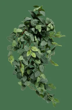 CASA Plantas Artificiais|Ramos Artificiais^FITTONIA Grinalda De Folhas Verde