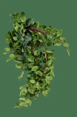 CASA Plantas Artificiais|Ramos Artificiais^FITTONIA Grinalda De Folhas Verde