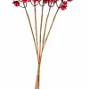 CASA Figuras Deco|Halloween^FOAM Abóboras Decorativas Conjunto De 12 Vermelho