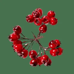 CASA Ramos Artificiais^FOAM Frutos De Roseira Decorativos Vermelho