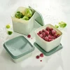 CASA Caixas De Alimentos^FREEZER 10 Caixas Para Congelador Menta, Verde Escuro
