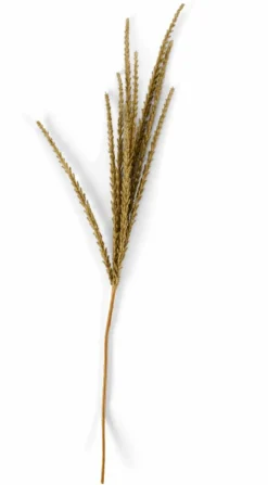 CASA Ramos Artificiais^GOLDENROD Caule Branco