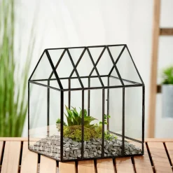 CASA Vasos Em Pé^GREENHOUSE Mini Estufa Transparente