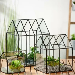 CASA Vasos Em Pé^GREENHOUSE Mini Estufa Transparente