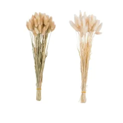 CASA Flores Artificiais^LAGURUS Lagurus Castanho