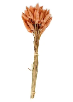 CASA Flores Artificiais^LAGURUS Lagurus Rosa