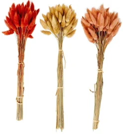 CASA Flores Artificiais^LAGURUS Lagurus Vermelho