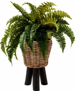 CASA Pratos Decorativos|Vasos Em Pé^OAK Suporte Natural