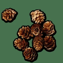 CASA Figuras Deco^PINECONE Deco Para Espalhar Dourado