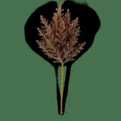 CASA Ramos Artificiais^PLUME Caule Com Plumas Castanho