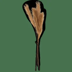 CASA Ramos Artificiais^PLUME Plumas Decorativas Castanho