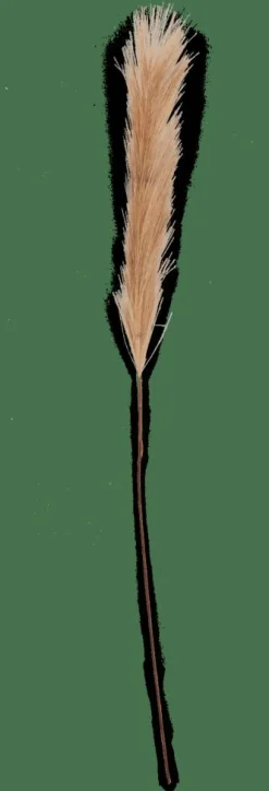 CASA Ramos Artificiais^PLUME Plumas Decorativas Castanho