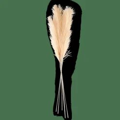 CASA Ramos Artificiais^PLUME Plumas Decorativas Creme