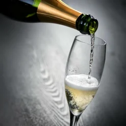 CASA Copos Para Champanhe^PREMIUM Flute 26 CL