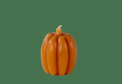 CASA Halloween|Outono^PUMPKIN Vela Castanho